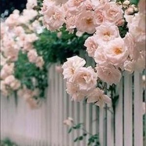 Meet your Posher, Elle